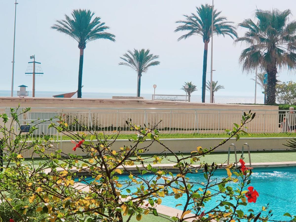 Apartmán Aguamarina Gandia Playa de Gandia Exteriér fotografie